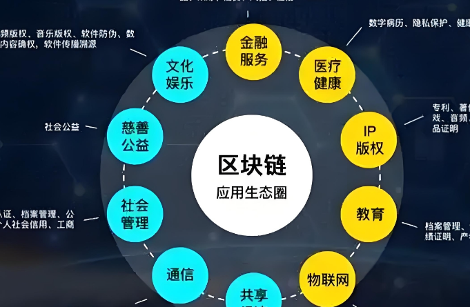 成功案例2
